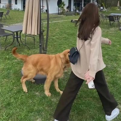 间谍教室